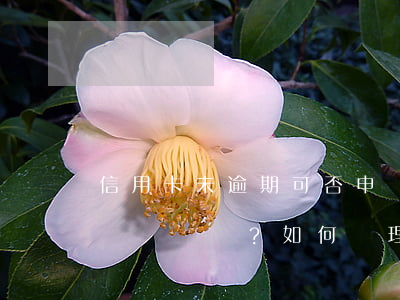 信用卡未逾期可否申請(qǐng)退息？如何辦理？